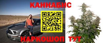 a pvp Можга