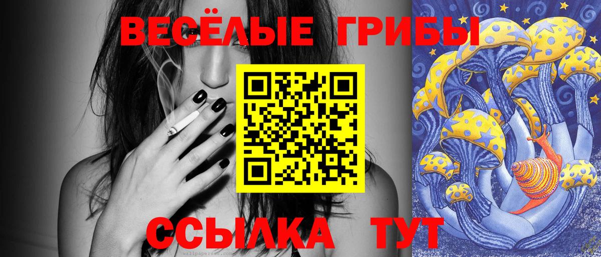 Псилоцибиновые грибы Psilocybine cubensis  Вход с VPN  Торжок 